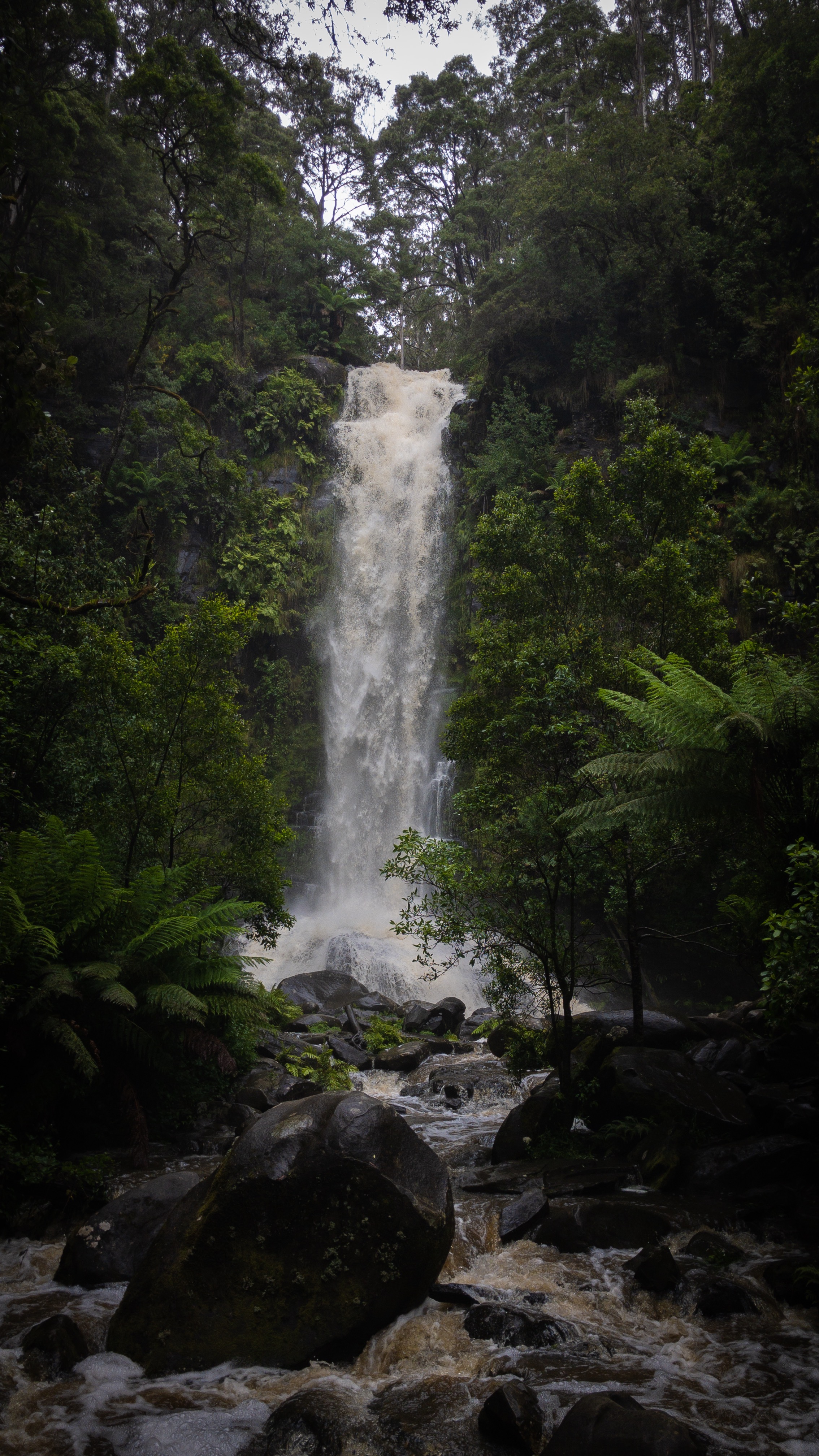 Portable Gallery image 1